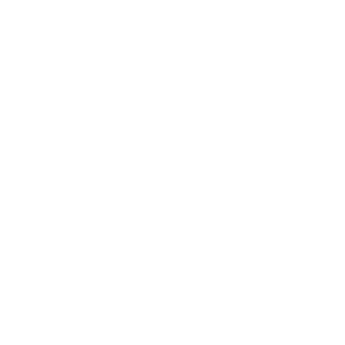 Italian Pizza